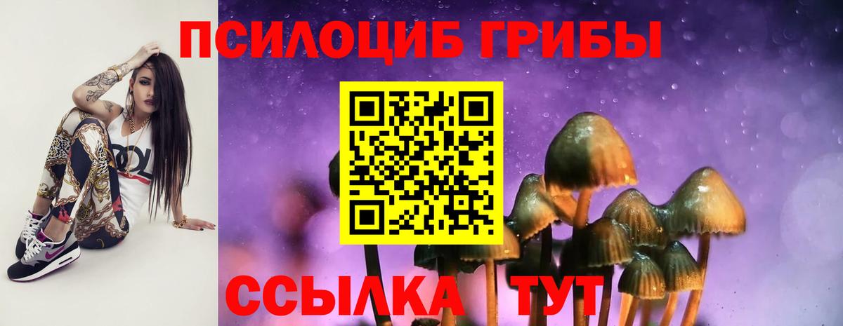 Набережные Челны  сколько стоит  Галлюциногенные грибы Psilocybe  Вход с VPN  Галлюциногенные грибы Magic Shrooms 